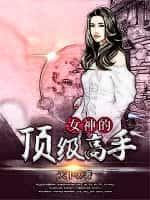 女总裁的顶级高手百度百科