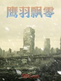 鹰的飞羽