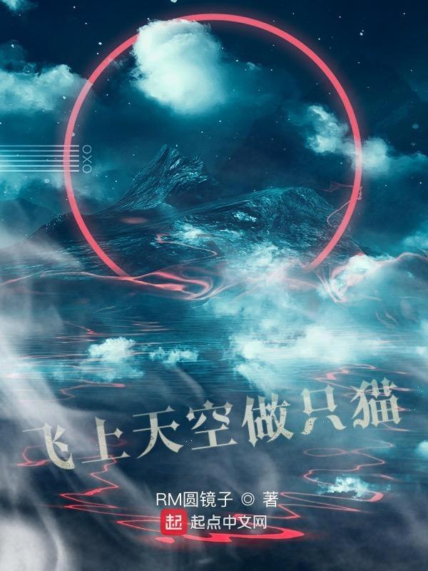 飞上天空的人