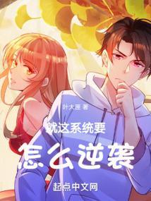 这个系统