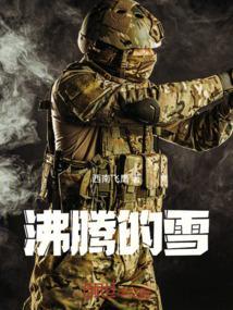 沸腾的雪书籍