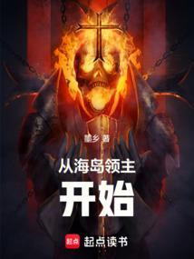 从海岛领主开始无防盗