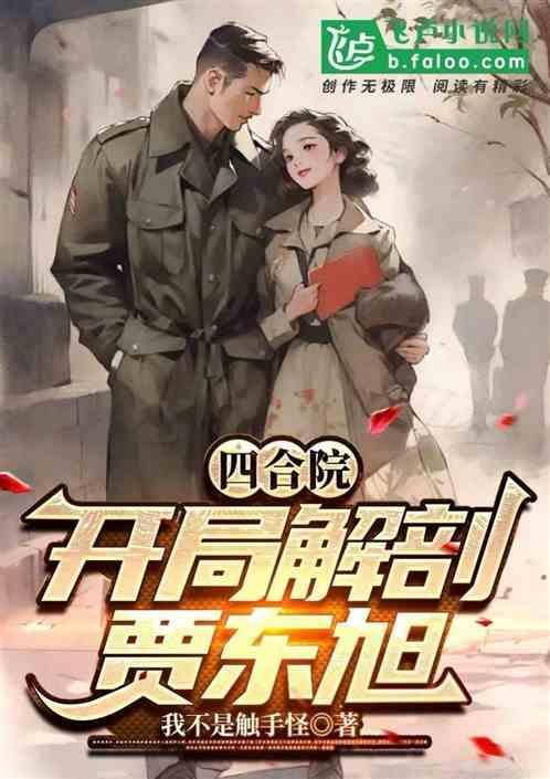 四合院开局安挑贾东旭