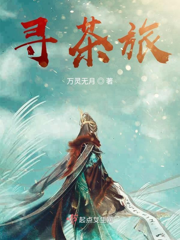 武夷山寻茶之旅