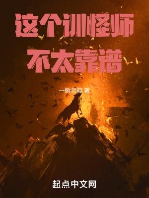这个训练家强的有多过分