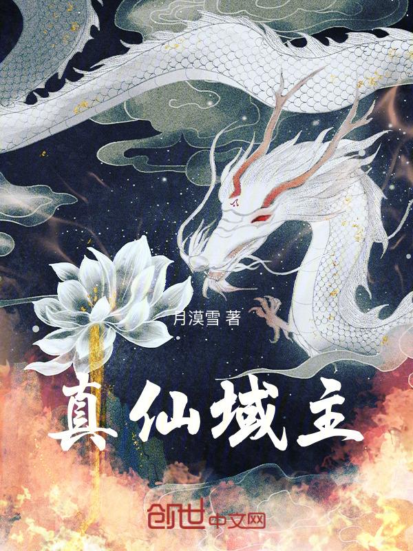 仙域真元碎片