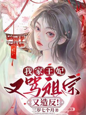 我家王妃又惹祸了