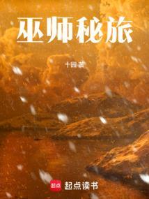 巫师秘旅全文笔趣阁