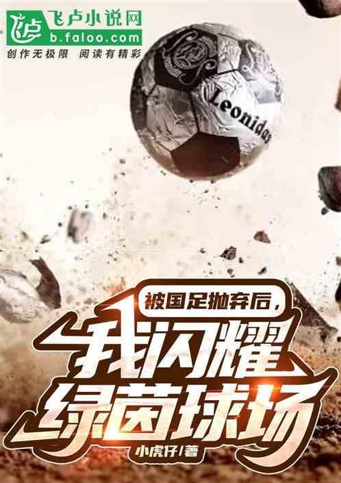 中国足球的球迷们现在面对的这片绿茵场