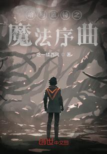 动画片哈利波特之魔法学校