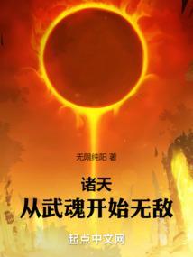 诸天从武魂殿圣子开始