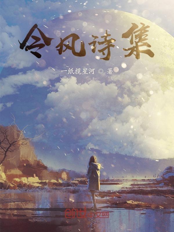 现代诗集风面