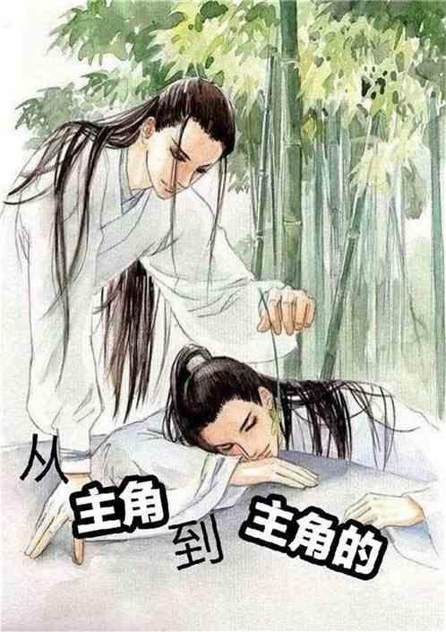 从主角出生开始写的