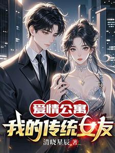 爱情公寓之我的爱情公寓