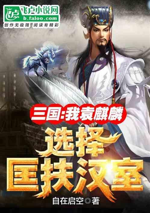 三国我袁麒麟