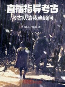 考古直播系统