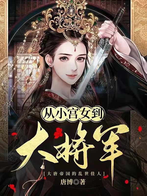 宫女与将军的