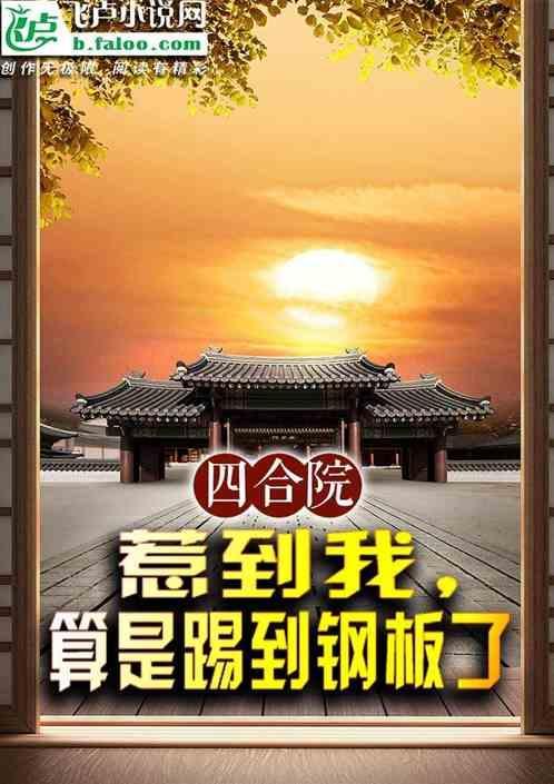 四合院坑一棒梗