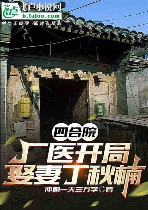 四合院厂医开局娶妻丁秋楠