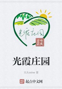 庄园之光要氪多少