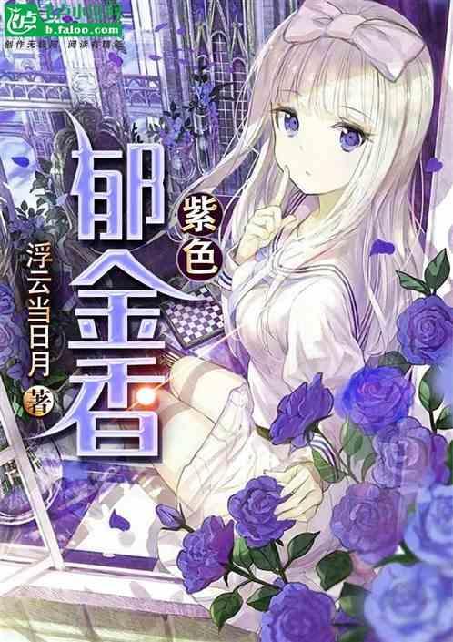 紫色郁金香花图片 唯美