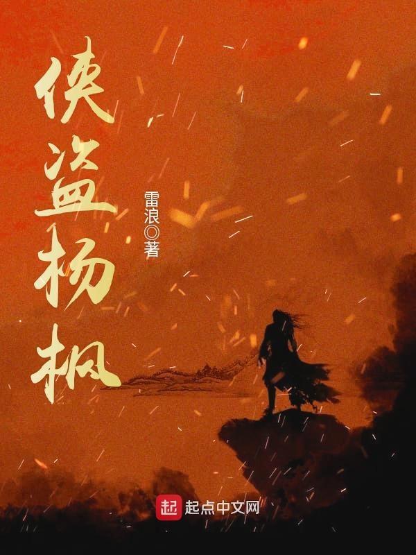 侠盗杨枫写得怎么样
