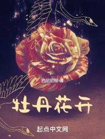 牡丹花开富贵图片大全大图