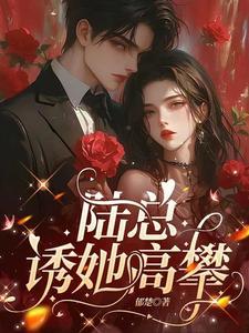 陆总诱她高攀笔趣阁最新章节列表