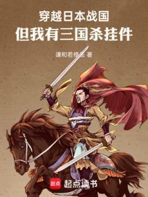 但我有三国杀挂件的