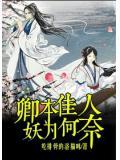 卿本佳人 奈何如此是什么意思