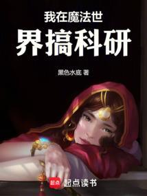 我在魔法世界开创互联网时代无弹窗