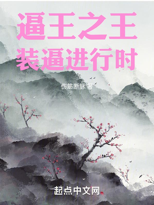 装b王软件