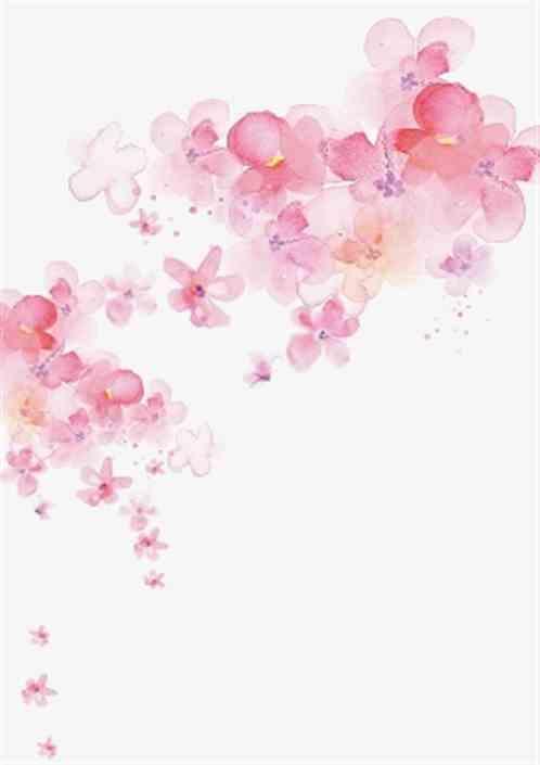 桃花朵朵向蜜开