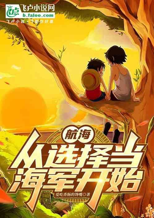 从海贼开始神级选择