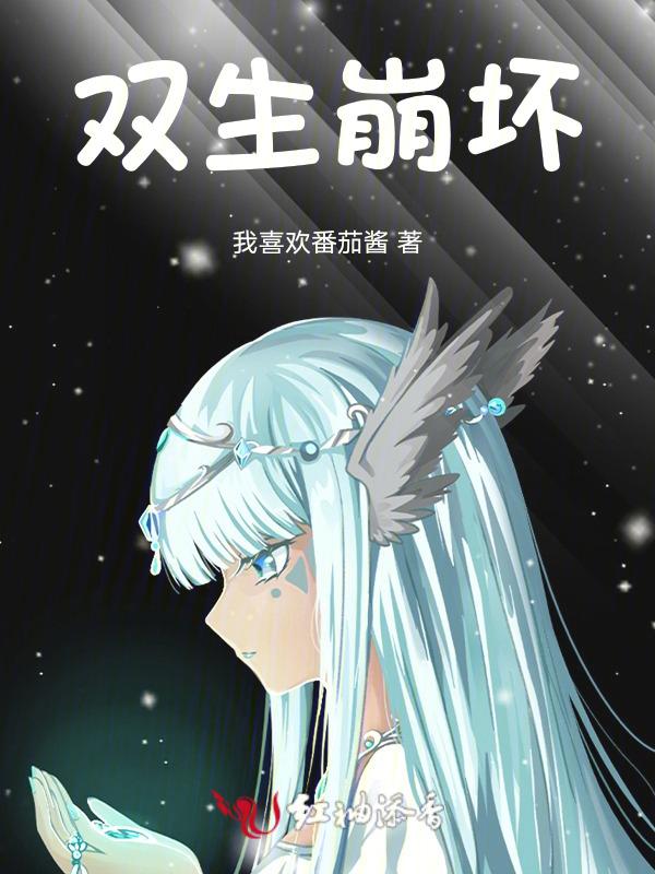 双生崩坏三