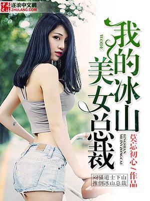我的冰山美女总裁沈浪