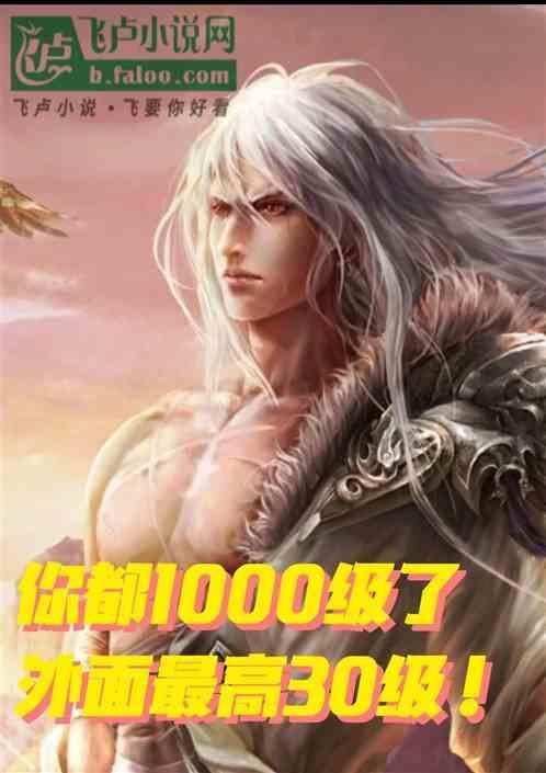 你都1000级了外面最高30级境界排行