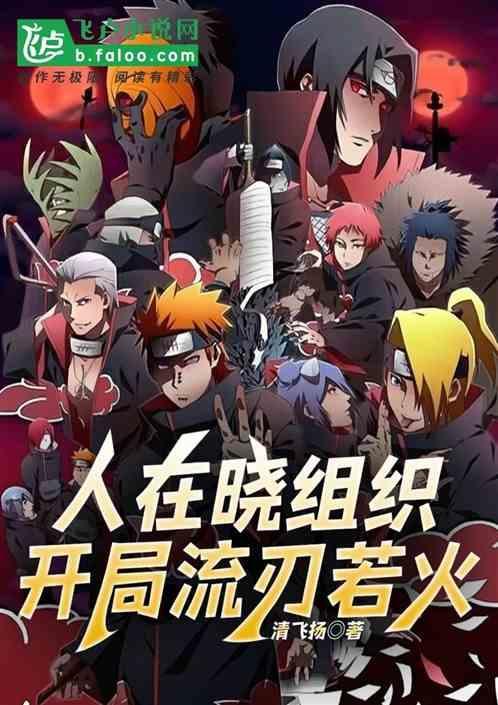 开局流刃若火我选择加入晓组织