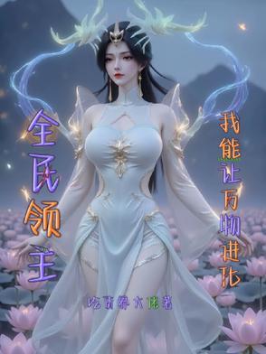 全民领主无限进化