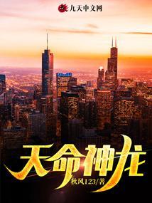 天命神龙系统