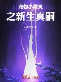 新宠物小精灵