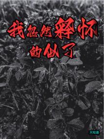 忽然释怀是什么意思
