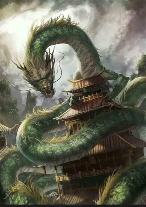 触手可及视频完整版