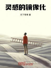 镜像的艺术作品