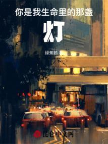 你是我生命里的那盏灯是什么歌