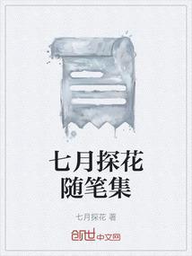 七月全国探花