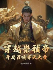 开局召唤齐天大圣!TXT