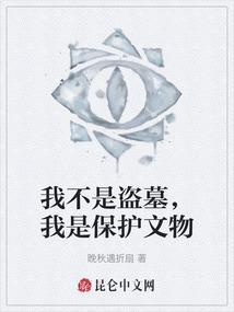 我是保护文物的