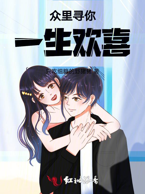 众里寻你歌词寓意
