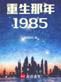 重生85年代的